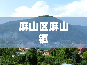 雅安发布疫情防控紧急通知最新