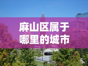麻山区属于哪里的城市 麻山区属于哪里的城市