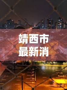靖西市最新消息