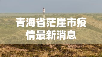 郫都区区情