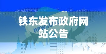 铁东发布政府网站公告