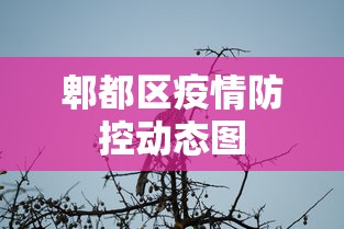 分析实测“微信小程序的微乐麻将有挂吗”掌握辅助功能必胜规则