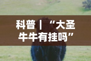 科普｜“大圣牛牛有挂吗”开挂方法