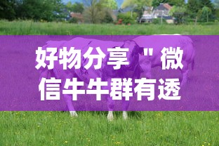 好物分享 ＂微信牛牛群有透视挂吗”(透视)辅助透视教程