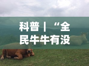 科普｜“全民牛牛有没有挂	”(透视)其实确实有挂