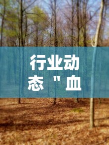 行业动态 ＂血战麻将的打法和技巧最新辅助详细教程