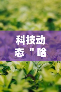 科技动态 ＂哈哈血战到底麻将开挂教程”详细辅助教程分享