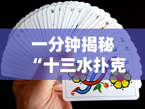 一分钟揭秘“十三水扑克牌怎么赢”详细辅助软件教程