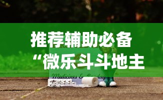 推荐辅助必备“微乐斗斗地主可以买挂吗”(原来确实是有插件)