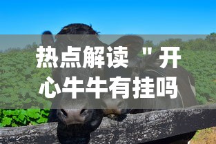 热点解读 ＂开心牛牛有挂吗	”(果然有透视挂)